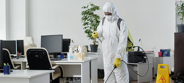 Commercial Pest Control