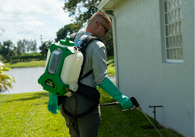Mosquito-Reduction